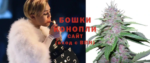 СК Протвино