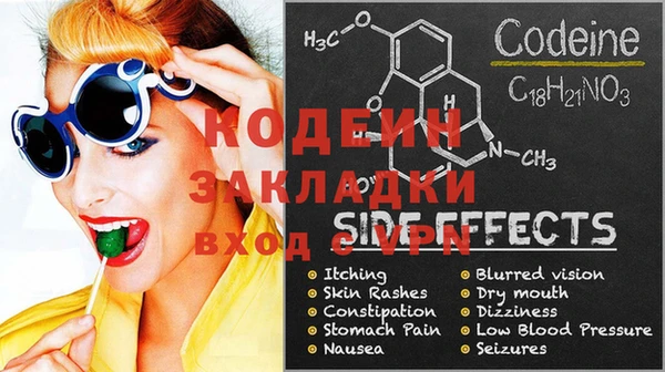 молекула духа Елабуга