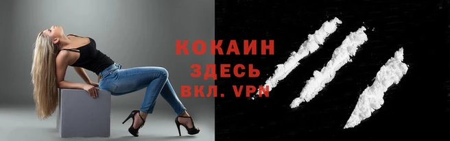 мяу мяу мука Покачи