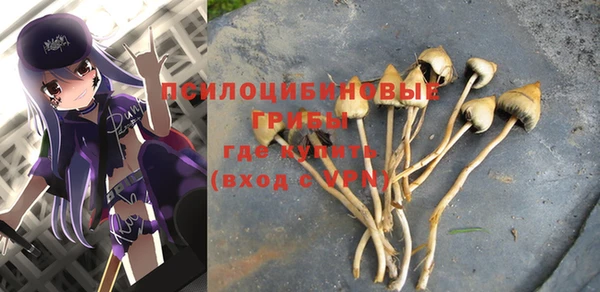 молекула духа Елабуга