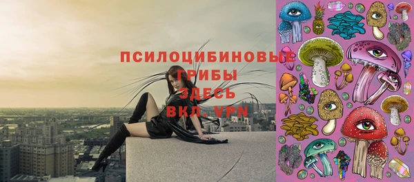 молекула духа Елабуга