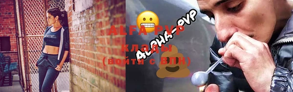 молекула духа Елабуга