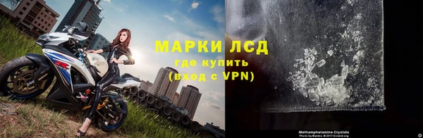 молекула духа Елабуга
