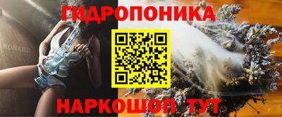 мдпв Камышлов