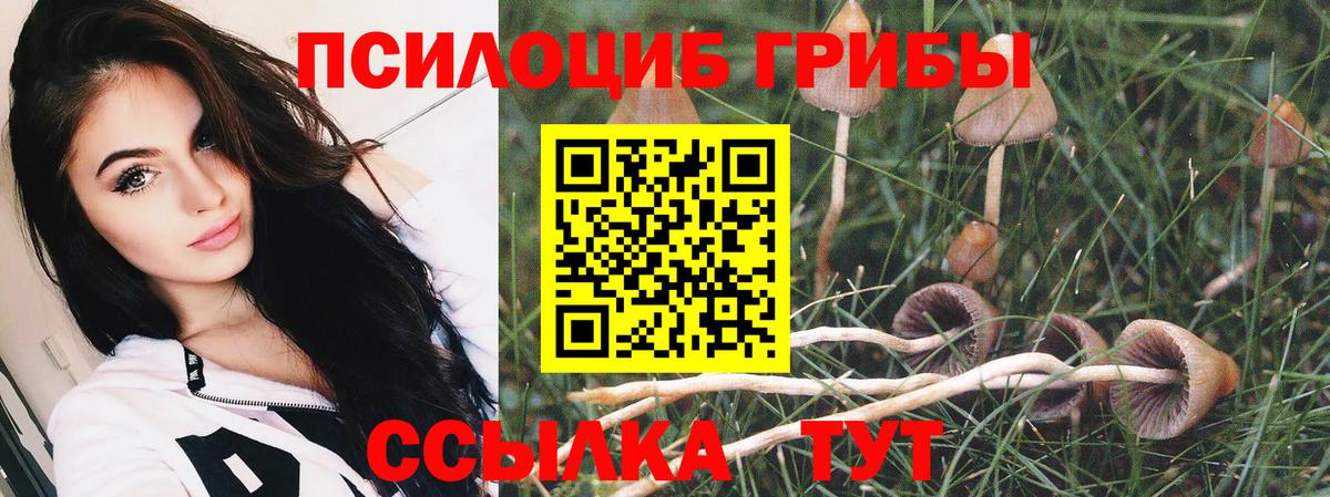COCAIN Свободный