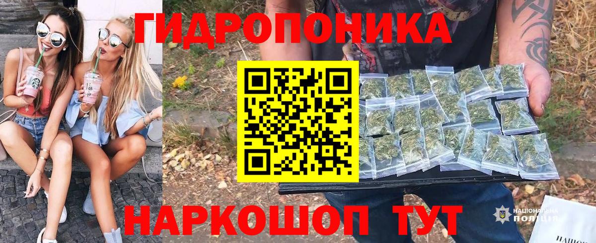 Бошки Шишки планчик  Марихуана Amnesia  МАРИХУАНА конопля  Свободный  Вход с VPN  Бошки Шишки LSD WEED 
